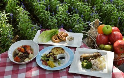 La buena nutrición se sustenta «en ajustar la cantidad y la calidad de nutrientes para cada persona»