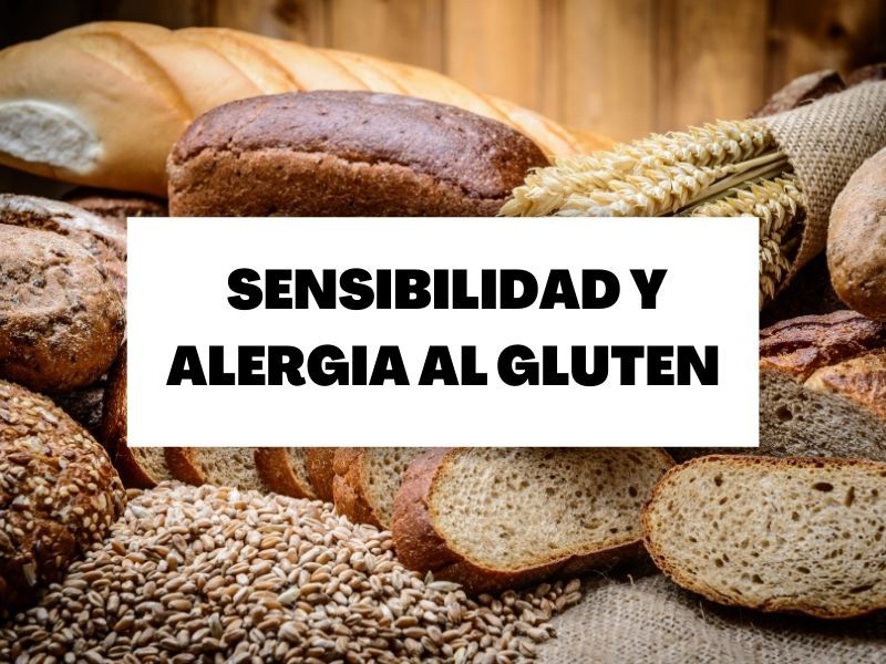 Descubre todo sobre la alergia y la sensibilidad al gluten