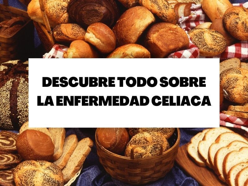 Descubre todo sobre la enfermedad celiaca